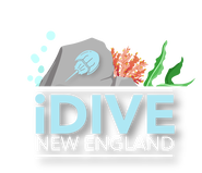 iDive New England logo