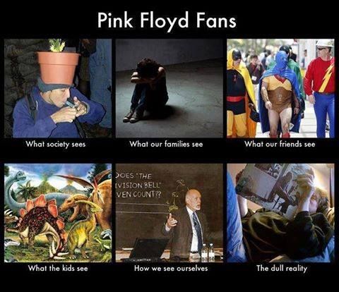 Pink Floyd fans: perception vs. reality