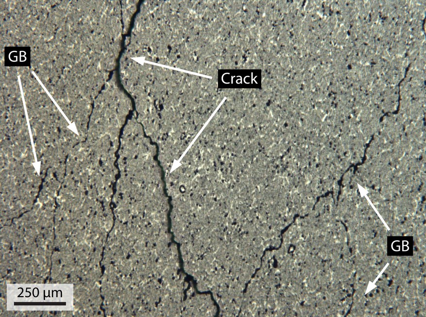 Optical micrograph