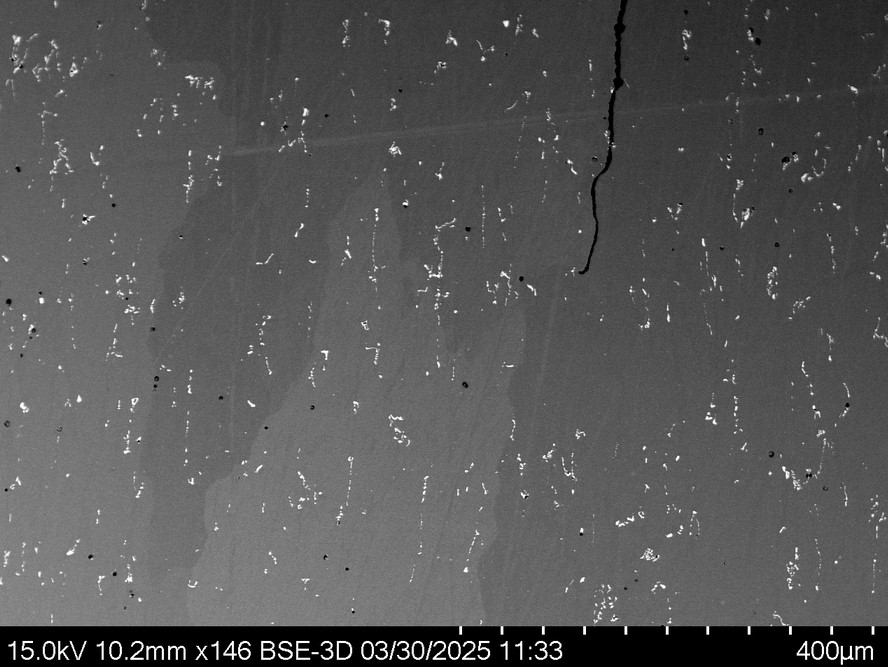 SEM scan of crack